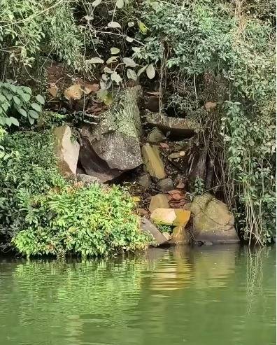 Detectan presunta extracción ilegal de piedra laja en la faja marginal del Lago Sauce y advierten riesgo de deslizamientos