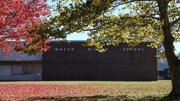 7 Lansing area school districts have tax proposals on the November ballot