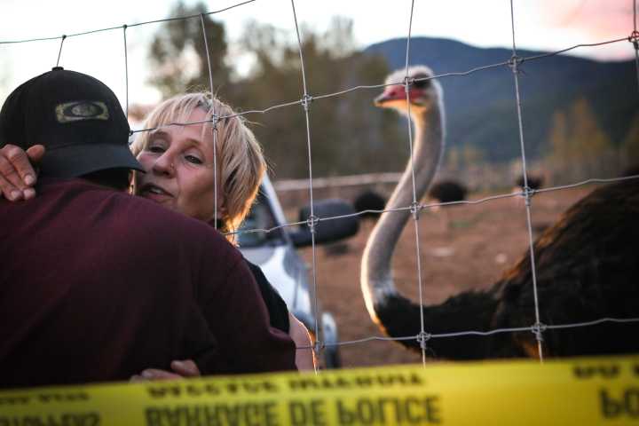 Large African birds crowded on Canadian farms