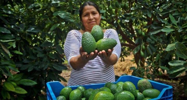 La Libertad: Anuncian Procompite 2025 que financiará proyectos productivos