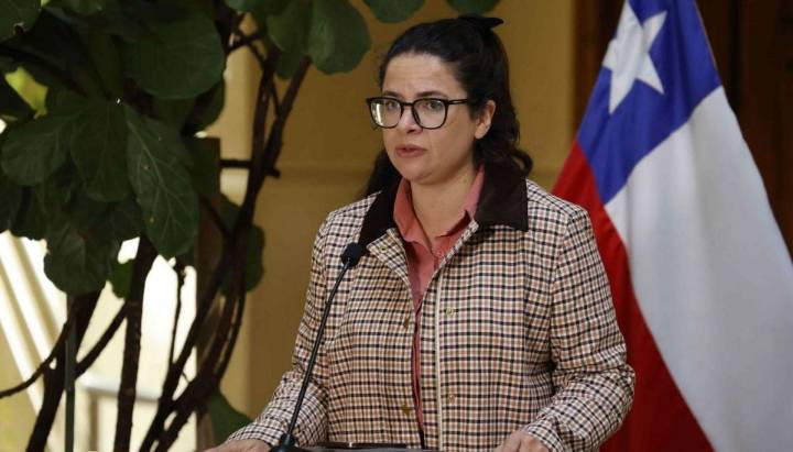 Caso Nabila Rifo: Orellana exculpa a SernamEG de liberación de Mauricio Ortega