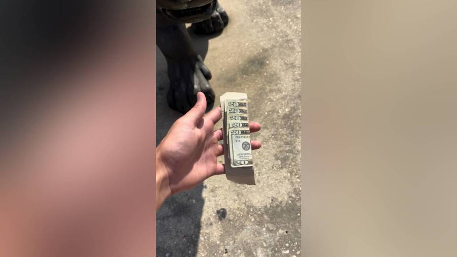 LSU student's Cash Stash game attracts 20k followers
