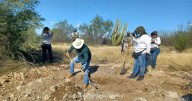 Crisis de desaparecidos en México: Detienen a 5 relacionados con el homicidio de 60 personas