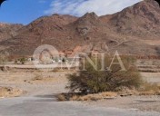 Tenemos opción B y C si nuevo hospital del ISSSTE no se puede construir por la zona del Polideportivo: Navarrete