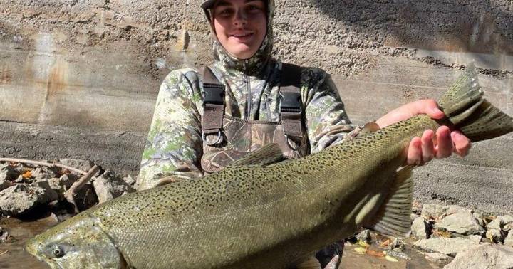 The Fishing Beat: Walleye fishing remains incredible in Lake Erie