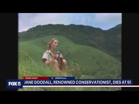 Jane Goodall dies at 91