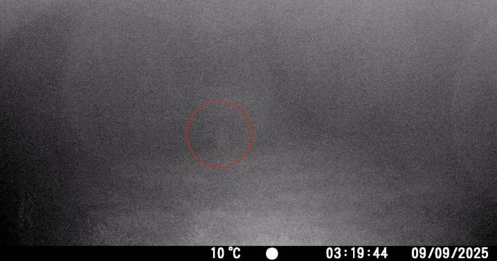Spooky shape of 'ghost' seen roaming grounds of stately home