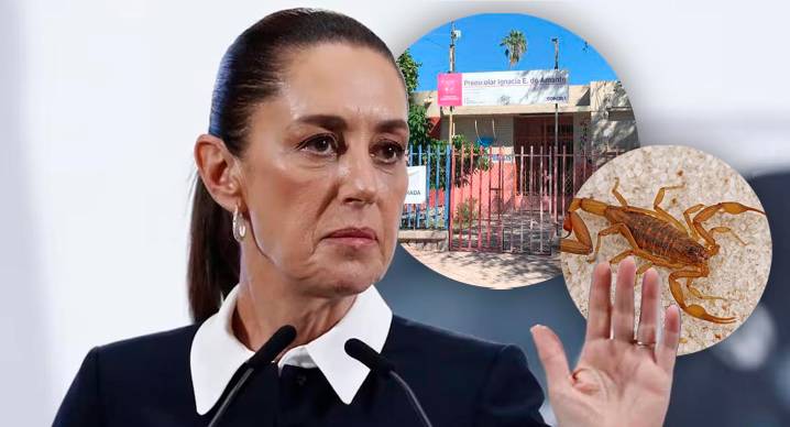 Sheinbaum revisará caso de niña que falleció tras picadura de alacrán en preescolar de Hermosillo y falta de antídoto en hospital de IMSS al ser atendida