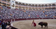 El Congreso frena la iniciativa antitaurina: los toros seguirán siendo patrimonio cultural