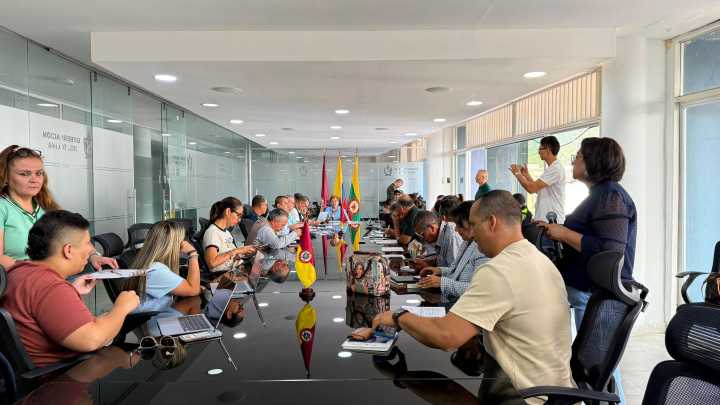 El Tolima listo para las consultas populares