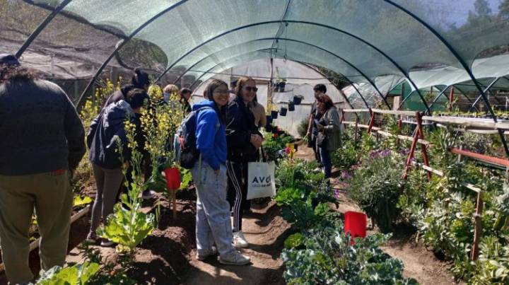 ‘Activá tu Huerta’ continúa con talleres en distintos puntos de la provincia
