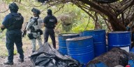 Desmantelan narcolaboratorio industrial en Morelos: autoridades hallan instalaciones clandestinas y toneladas de precursores