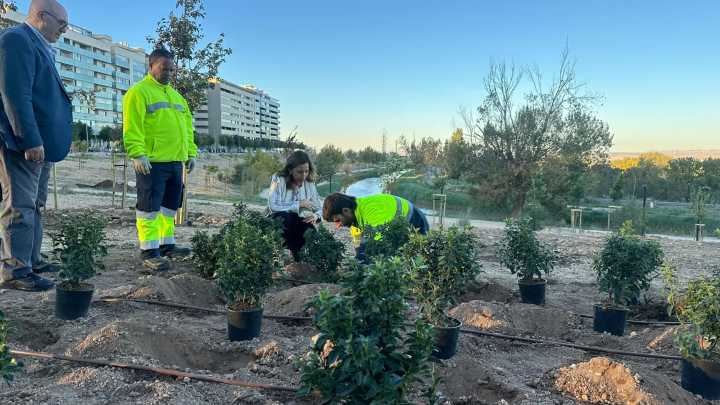 Esta es la zona que se incorpora al Bosque de los Zaragozanos con 370 árboles en la ciudad