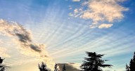 Woven Sky