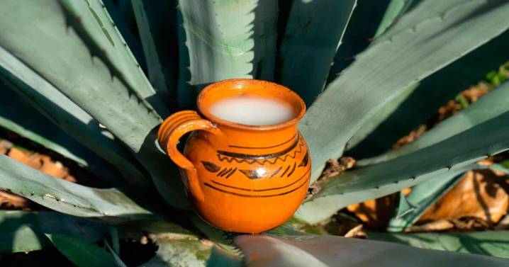 Feria del Pulque Atizapán de Zaragoza 2025: fechas, programa de actividades y cómo llegar