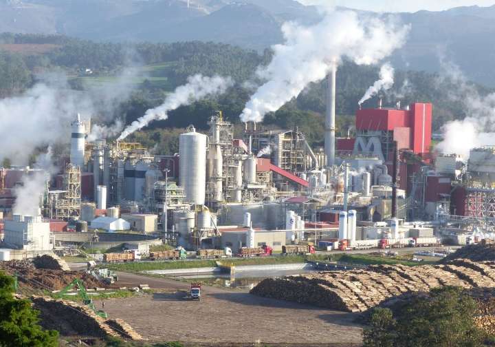 Ence plantea el despido de 90 trabajadores de la fábrica de Navia