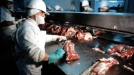 Estados Unidos cuadriplicó la cuota de compra de carne vacuna argentina