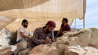 Hallazgo del Conicet: encontraron restos fósiles de dinosaurio de hace 70 millones de años