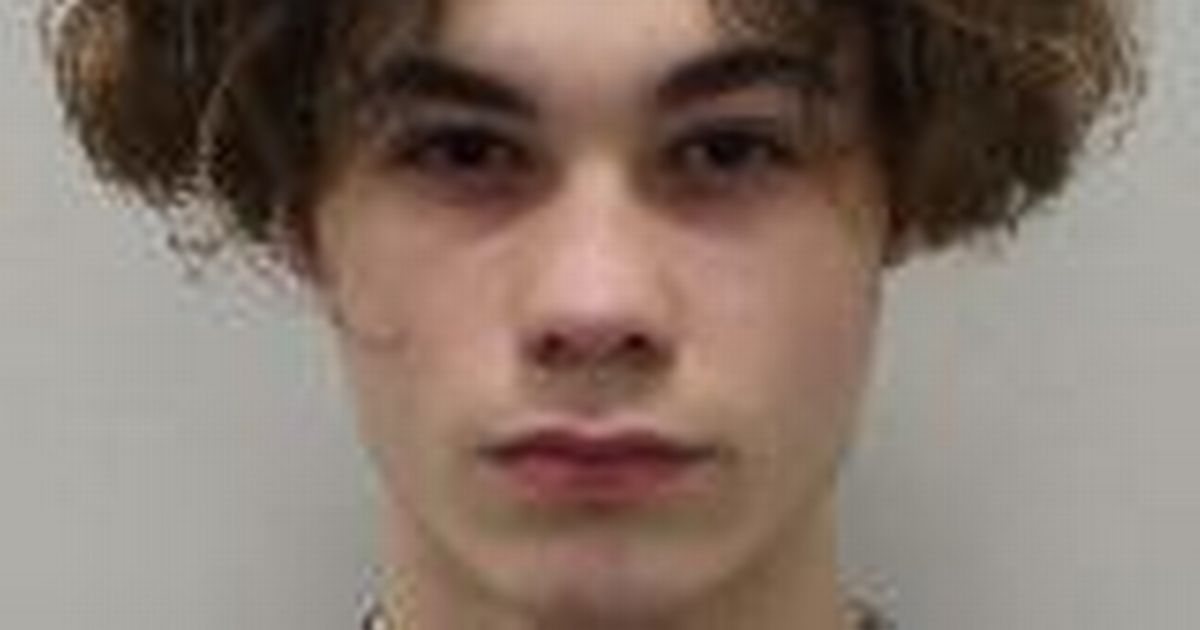 First picture of teen who stabbed Harry Pitman, 16, to death on Primrose Hill on New Year's Eve