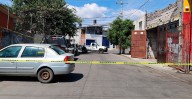 Inicia FGE investigación por muerte de perritos en Morelia; analizará sus cuerpos