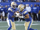 Third-string QB Terry Wilson leads Bombers to 19-10 win over Alouettes – Winnipeg Free Press