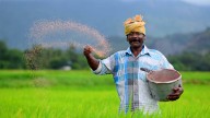 Paddy farmers must be shown mercy