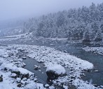 Fresh snowfall in higher reaches, rainfall in plains