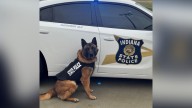 Indiana State Police K-9 Barker dies unexpectedly