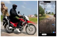 Exhibe baches y lo balean: ¿Cómo está “Don Nico”? Esto sabemos