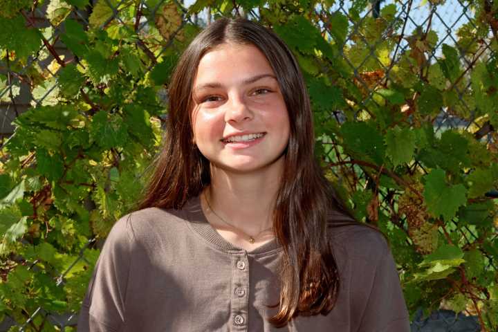 Cross-Country Running: Brainerd sends 2 to state
