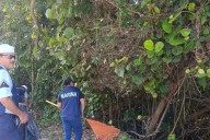 Realizan gran jornada de limpieza en la zona de manglar de la bahía de Chetumal