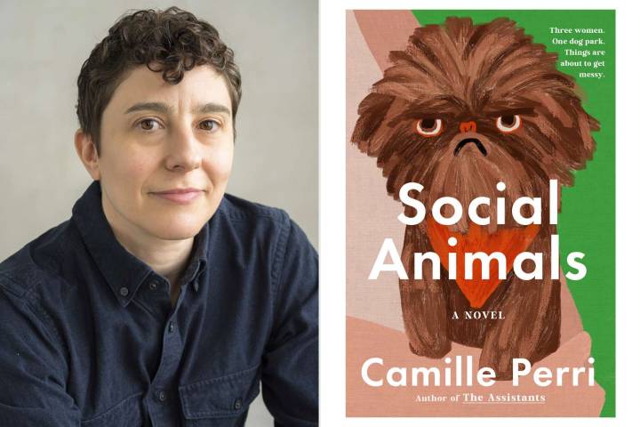 See the Cover of 'Social Animals' by Camille Perri (Exclusive)