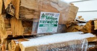 October is Firewood Month – here's what to know about invasive species, burning & more