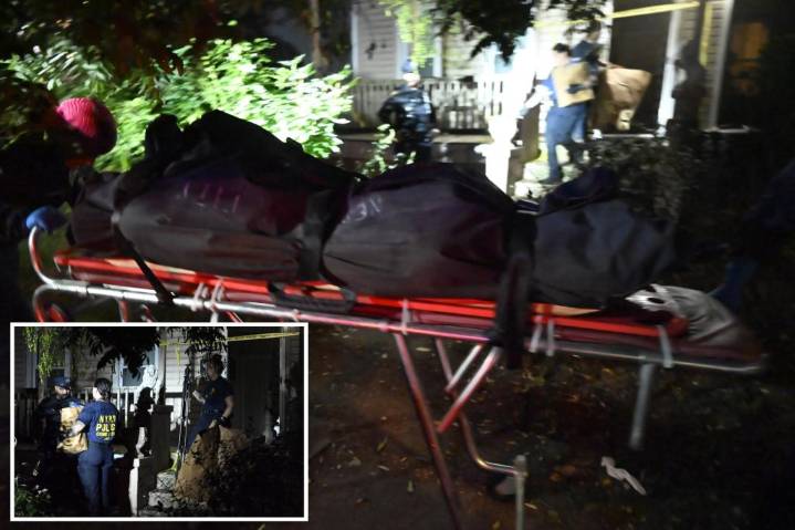 Disturbed Staten Island teen who allegedly decapitated mom’s boyfriend told sister ‘I did something bad’ when she arrived home to find him bloodied