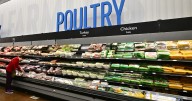 Poultry industry pushes back as food safety group cites salmonella contamination