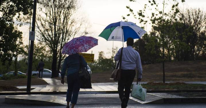 Bureau of Meteorology website sparks backlash