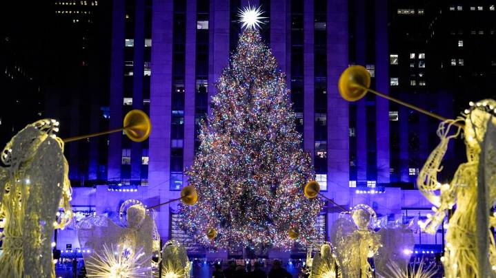 Rockefeller Center reveals this year's Christmas Tree selection