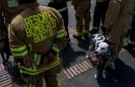 Abren investigación a mandos de Bomberos de Bogotá