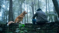 Crítica de "Good Boy"