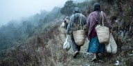 Organización de DDHH pide protección inmediata a comunidades nahuas por ataque armados en Michoacán