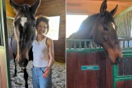 Cinco, Longtime Horse of Katherine Schwarzenegger, Dies After 24 Years with Author