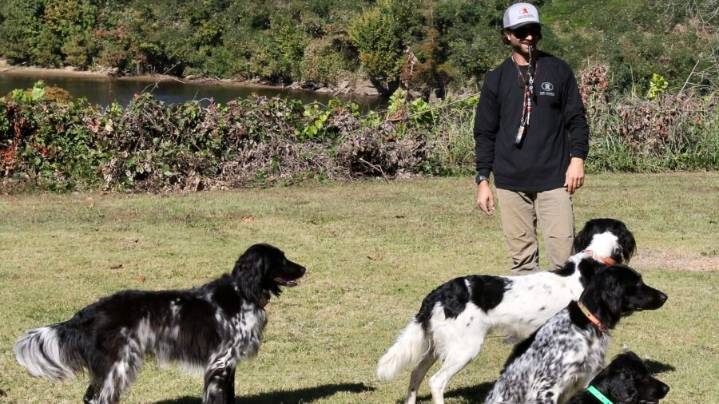 2025 Wetumpka Wildlife Arts Festival offers multiple sporting dog demonstrations
