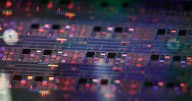 De NVIDIA a AMD: empresas de microchips que más se beneficiarán de las inversiones en IA