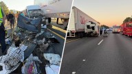 Van carrying 37 cats bound for Vermont destroyed in crash that killed 3 adults, 5 kids