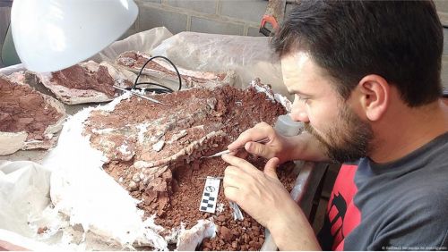 Hallan en Argentina uno de los dinosaurios más antiguos de la historia