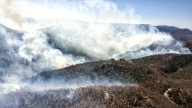Incendios arrasan con 3 mil hectáreas de pastizales en 8 meses en Gunajuato