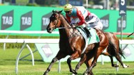 Ka-ching: world’s best sprinter Ka Ying Rising claims $20 million TAB Everest in international coup