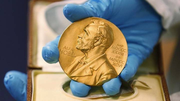 Cuenta atrás para los Nobel 2025: ¿quién ganará este año en las categorías científicas de Medicina, Física y Química?