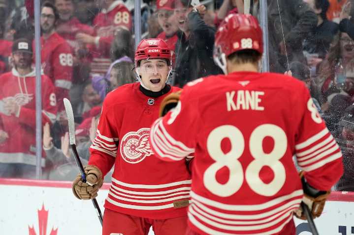 Red Wings rely on youth to fill future Hall