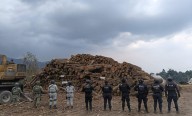 Necesita Semarnat de GN y Sedena en 125 áreas muy riesgosas por tala